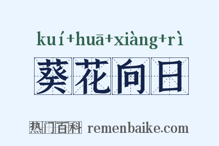 葵花向日是什么意思的图片